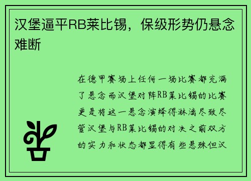 汉堡逼平RB莱比锡，保级形势仍悬念难断